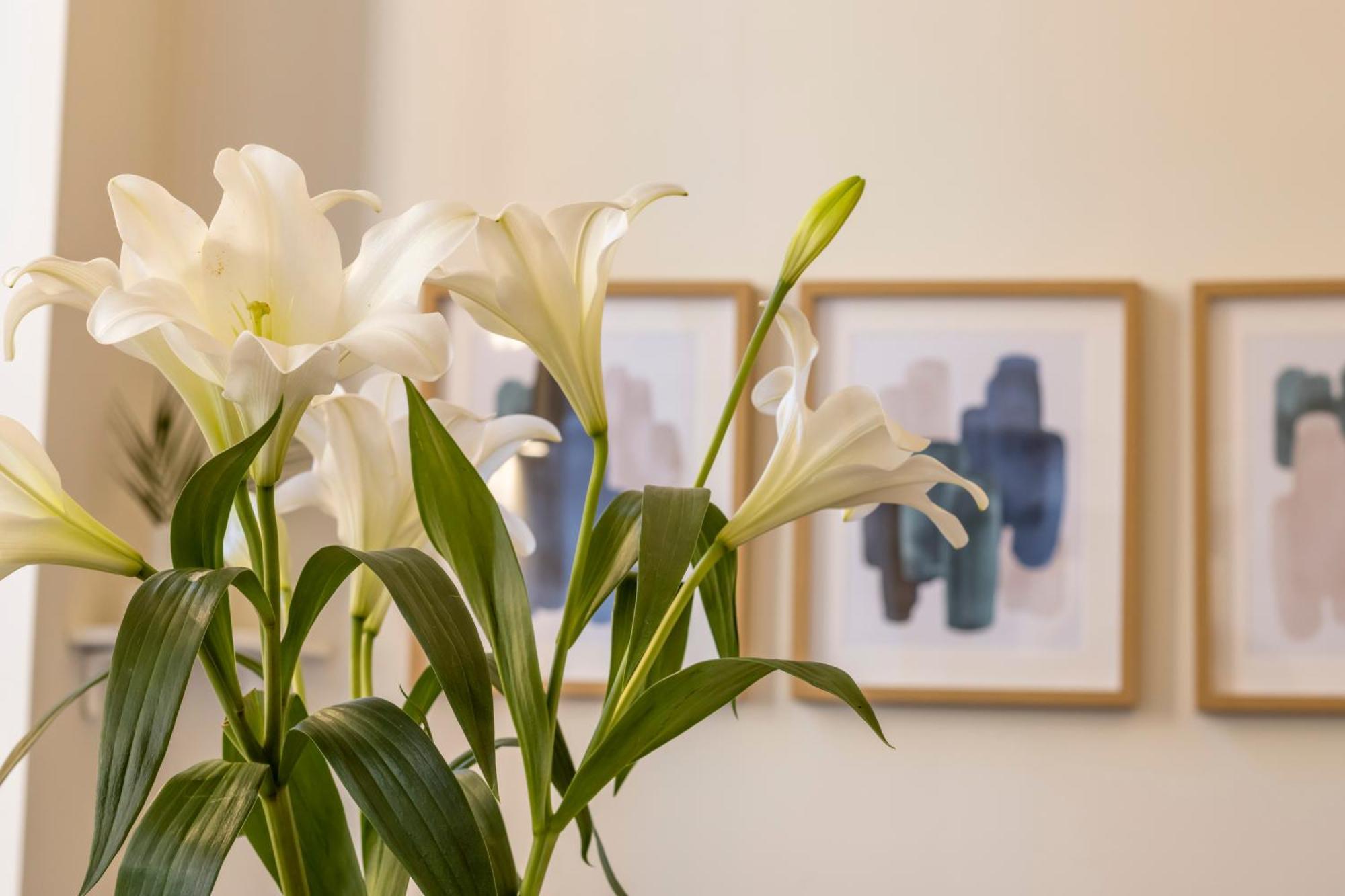 Lagrange Appartement